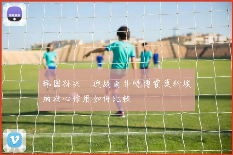 韩国孙兴慜迎战南非特博霍莫科埃纳核心作用如何比较